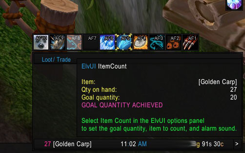 About ElvUI Item...